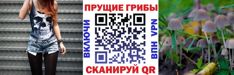 Псилоцибиновые грибы мухоморы  Староминская 